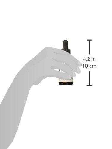 Cremo Cremo Beard Oil, Revitalizing Wild Mint, 1 fl oz - Restore Natural Moisture and Soften Your Beard To Help Relieve Beard Itch