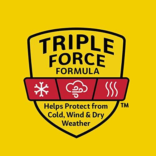 Carmex Carmex Classic Medicated Lip Balm Sticks, Lip Moisturizer for Chapped Lips, 18 Count (6 Packs of 3)