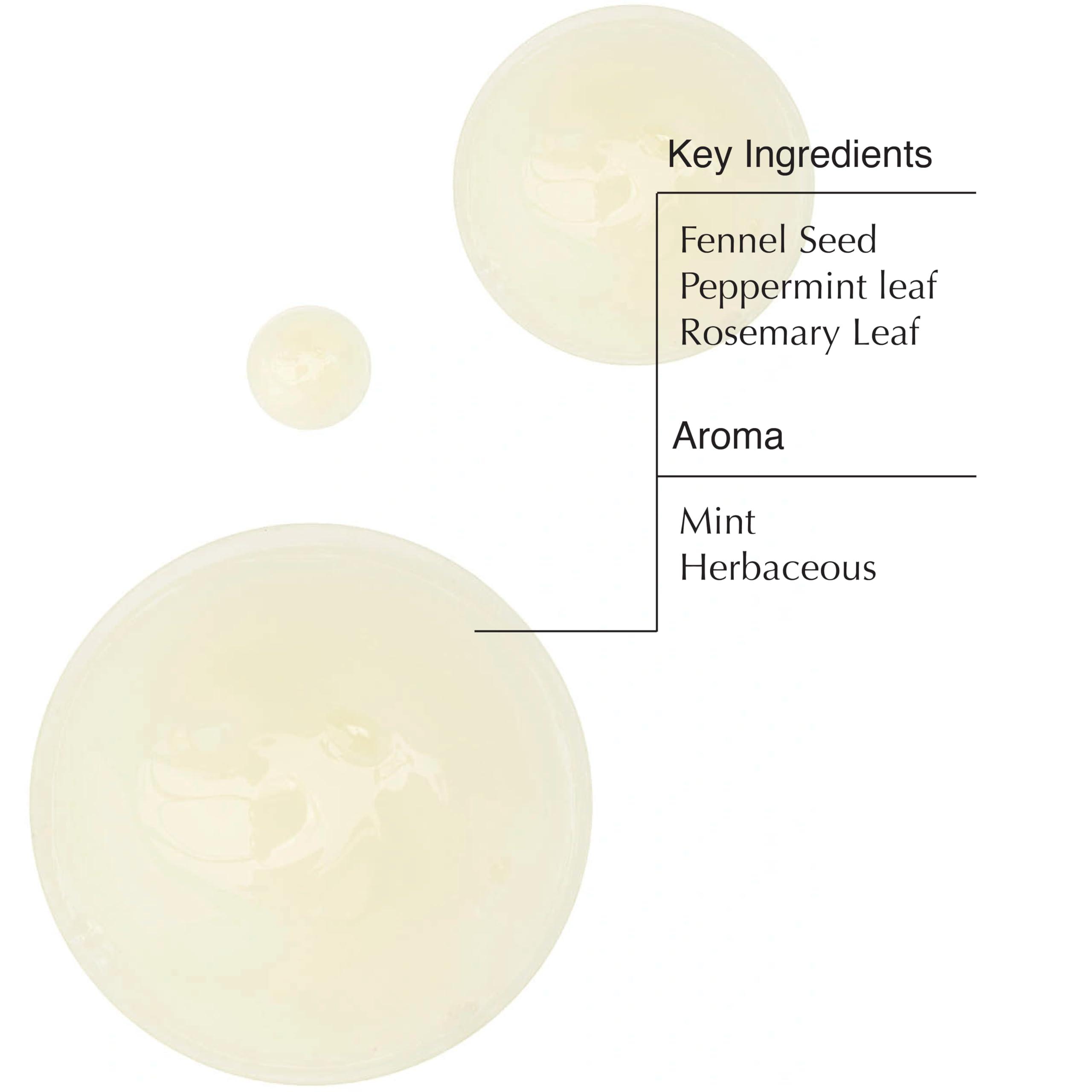 Aesop Aesop Volumizing Shampoo - Lifting Formulation for Volume and Body - Boosted with Polyquaternium 67-16.9 oz