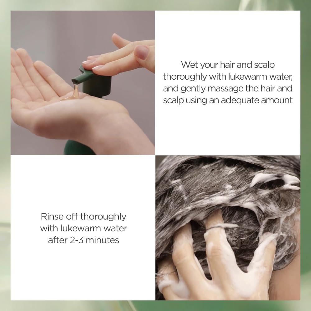 AYUNCHE AYUNCHE Rebalancing Shampoo Moist + Hair Mask Mini Kit [For Dry Scalp] | Soft & Moisturizing Cleansing Shampoo | Anti-Hair Loss and Anti-Thinning Shampoo | Korean Salon Brand | Gift Set