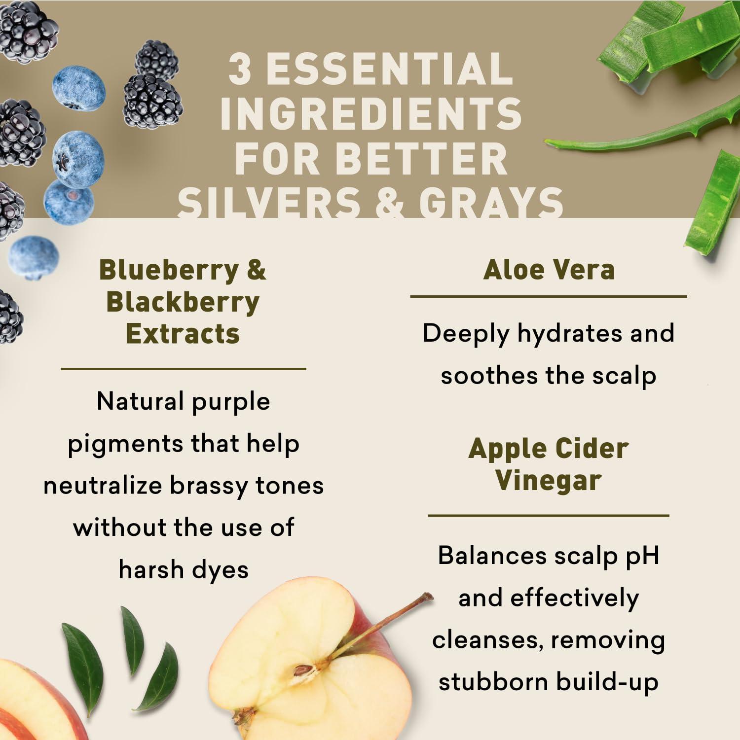 Just Nutritive Just Nutritive Silver & Gray Hair Rescue Trio: Purple Toning, Gray Hair Shampoo & Vinegar Rinse Cleanser for Yellow-Free Hair