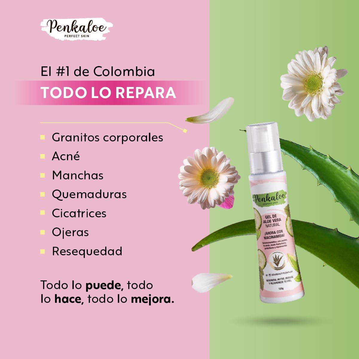 NinthAvenue Basics Penkaloe Gel de Aloe Vera con Niacinamida y cido Hialurnico, 4 oz | Hidrata, Calma y Mejora el Tono | Hydrates, Soothes & Improves Skin Tone | Controla Grasa y Regenera | Controls Oil & Regenerates