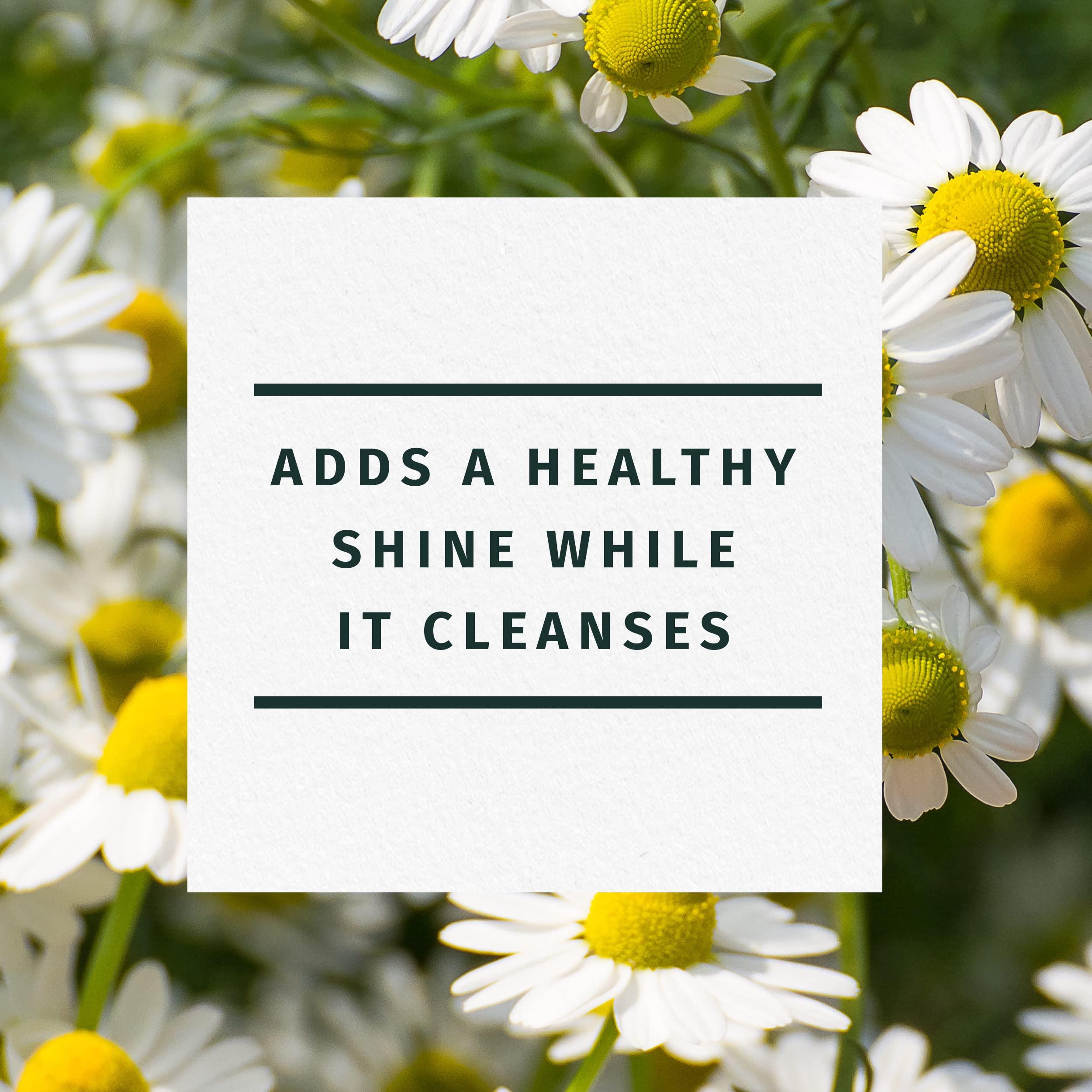 OGX OGX Purifying + Charcoal Detox Dry Shampoo Spray with Activated Charcoal & Kaolin Clay for Fresh Full Hair, Dry Shampoo to Absorb Excess Oil & Revive Dull Second-Day Hair, 5 Ounce