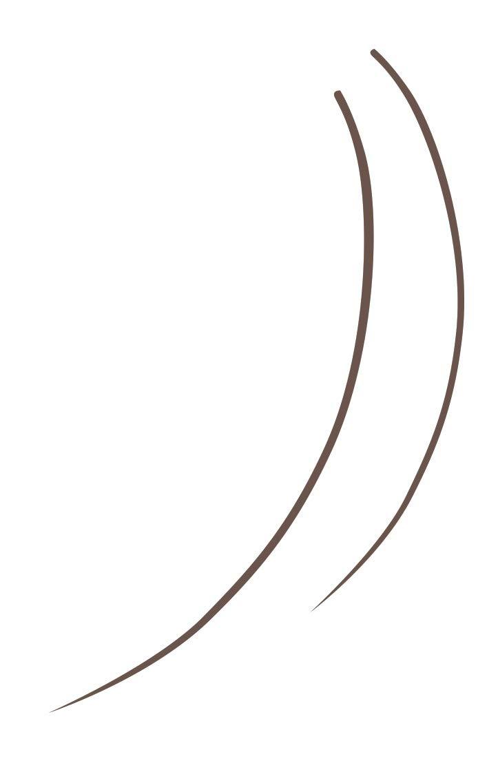 Rimmel Rimmel London Brow This Way Eyebrow Pencil, Highly Pigmented, Long-Wearing, Easy to Apply, 003, Soft Brown, 0.03oz