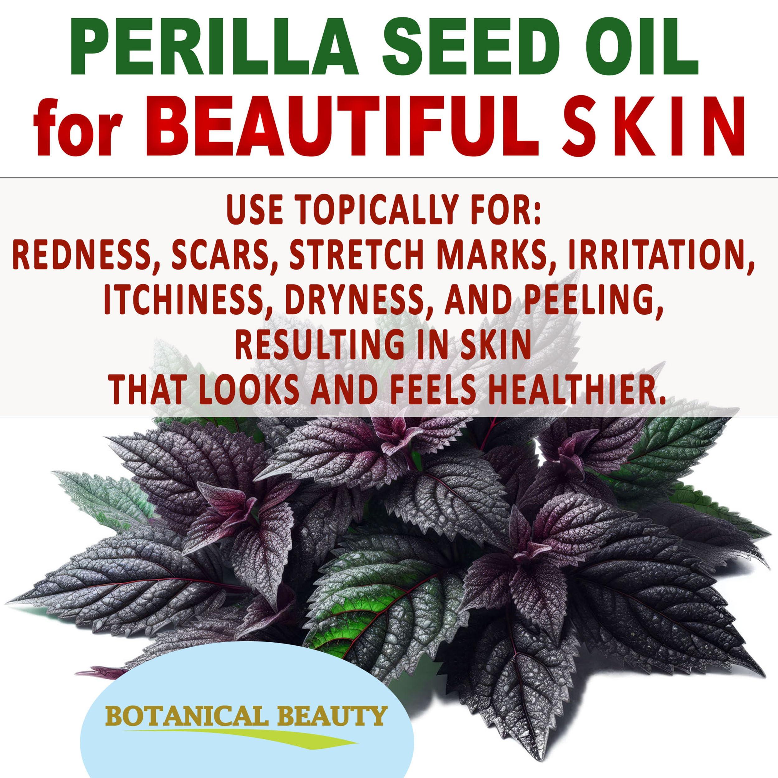 Botanical Beauty Botanical Beauty PERILLA SEED OIL 100% Pure Natural REFINED Cold-Pressed Carrier Oil 2 Fl oz 60 ml for Face, Skin, Body, Hair, Lip, Nails. Rich in Omega 3, Alpha-Linolenic Acid.