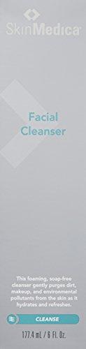 SkinMedica SkinMedica Facial Cleanser - Foaming Cleanser That is a Gentle Face Wash for Normal or Dry Skin and Perfect As a Makeup Remover, 6 Fl Oz