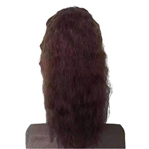 JHGH JHGH Hair Wigs for Women Peruvian Water Curly Wave Human Hair Lace Frontal Wigs pelucas hair replacement wigs,cosplay bob wigs Front Wigs Pre Plucked With Baby Hair Wave Wet and Wavy 24 inch