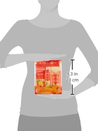 Calgon Calgon Hawaiian Ginger Body Care 4-Piece Gift Set Box