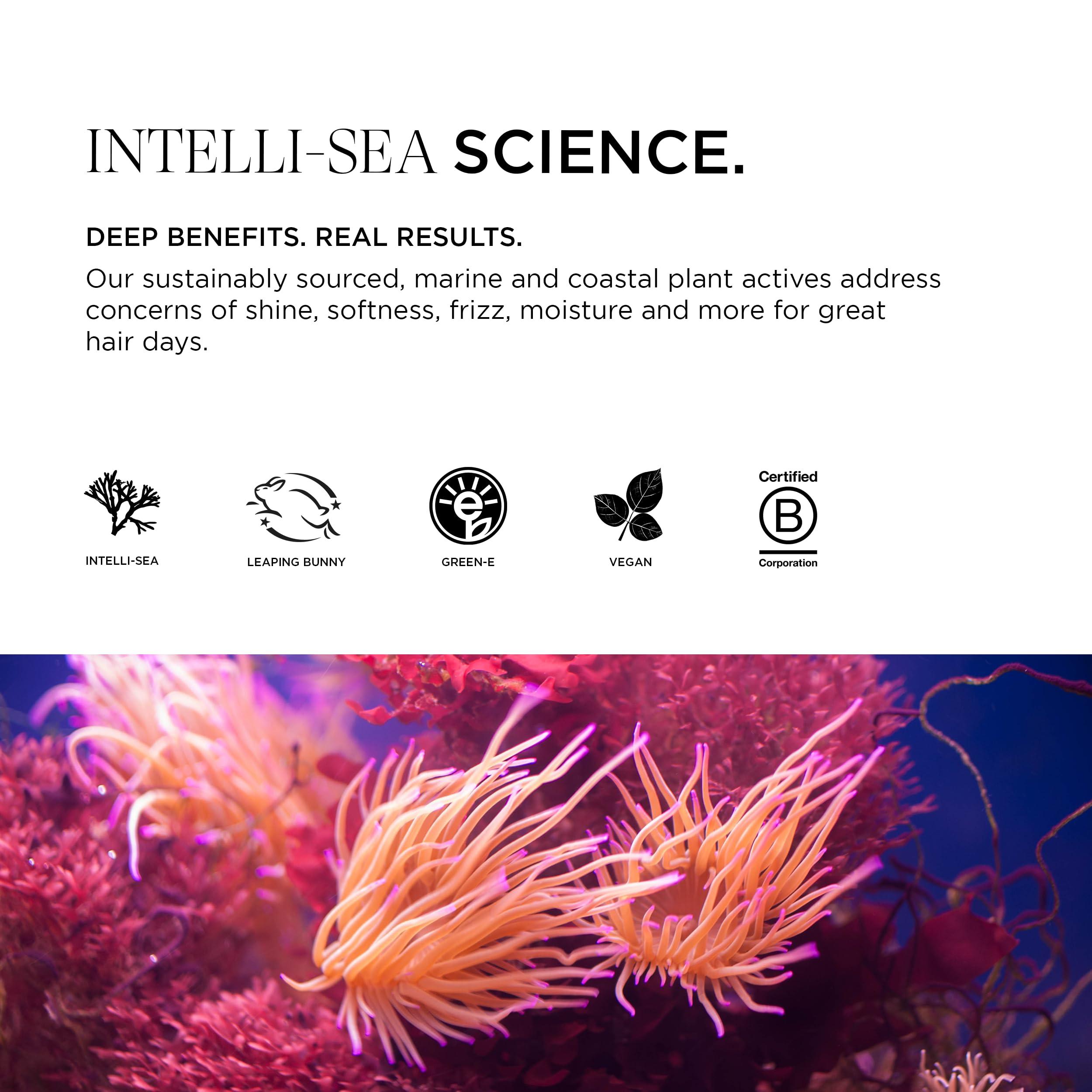 Intelligent Nutrients Intelligent Nutrients Amplifi-hair Volumizing Conditioner, Weightless Hydration and Detangling for Fine Hair, Vegan Conditioning Formula, 8 Oz