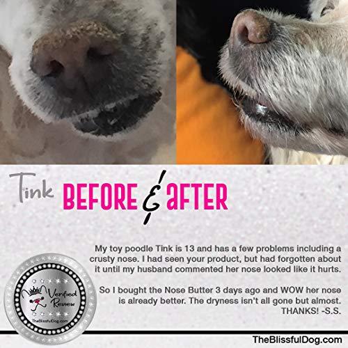 The Blissful Dog The Blissful Dog Poodle Unscented Nose Butter - Dog Nose Butter, 4 Ounce