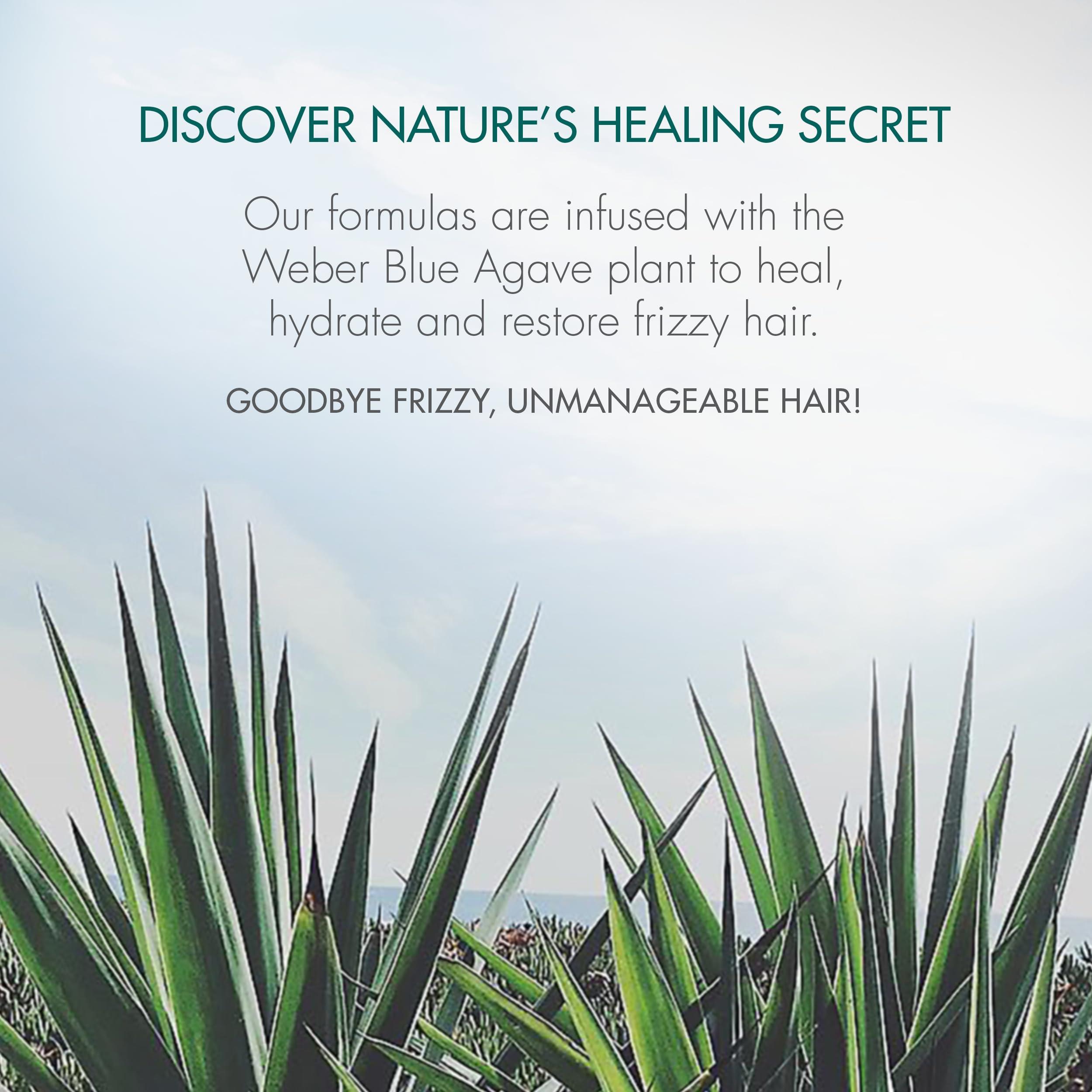 Agave Healing Oil Agave Healing Oil Treatment, Lightweight Rejuvenating Hair Oil for All Hair Types With Natural Agave Extract, Paraben & Sulfate-Free, 2 Fl Oz