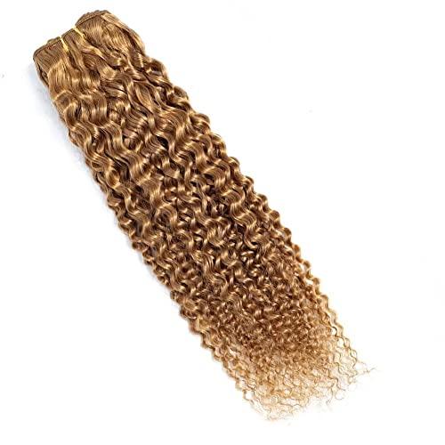 FEEL ME FEEL ME Afro Kinky Curly Human Hair Bundles Brazilian Hair Weave Bundles 10A Unprocessed Brazilian Virgin Curly Hair Bundles Color 27 Honey Blonde Curly Hair 100g 14 Inch