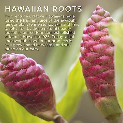 Cezanne Cezanne Canmake Japan BB Cream All-in-one Foundation SPF 23 PA++ Great for Skin (01)