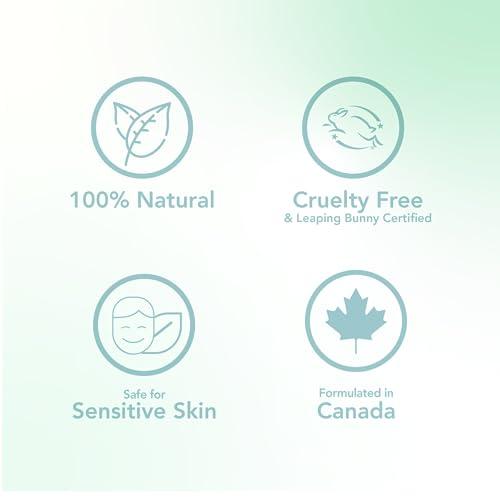 Scentuals Hand Cream with Rosemary & Mint Essential Oil, Shea Butter, Cocoa Butter, Argan & Almond oil, Vitamin E and Aloe Vera, for Moisturizing Dry Hands, Cruelty Free, Natural Skin Care, 100 ml, 3.4 fl.oz