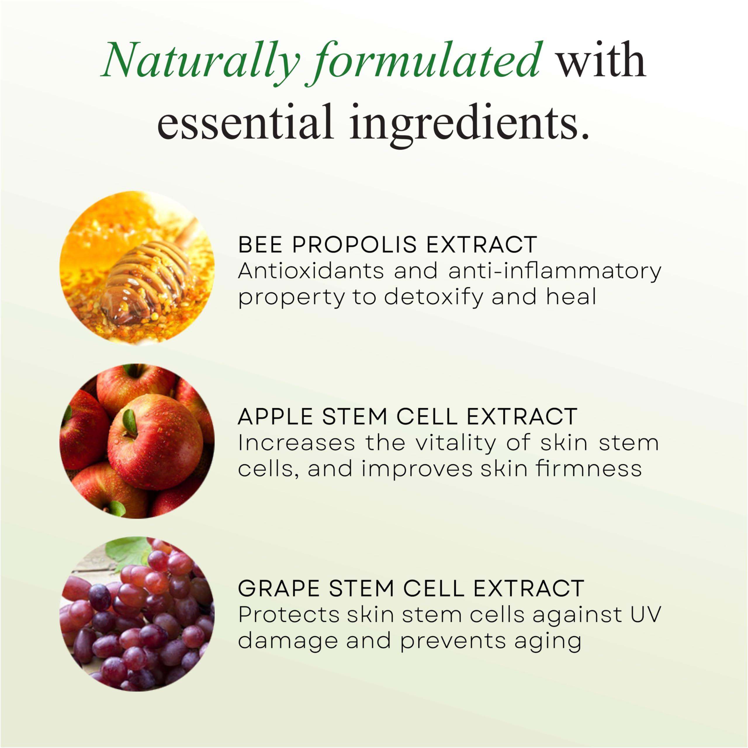 IDEN IDEN Signature Stem Cell Shampoo and Hair Masque Set, Promotes Healthy Hair Growth, Bee Propolis & Stem Cell Extracts, 12 fl.oz Each