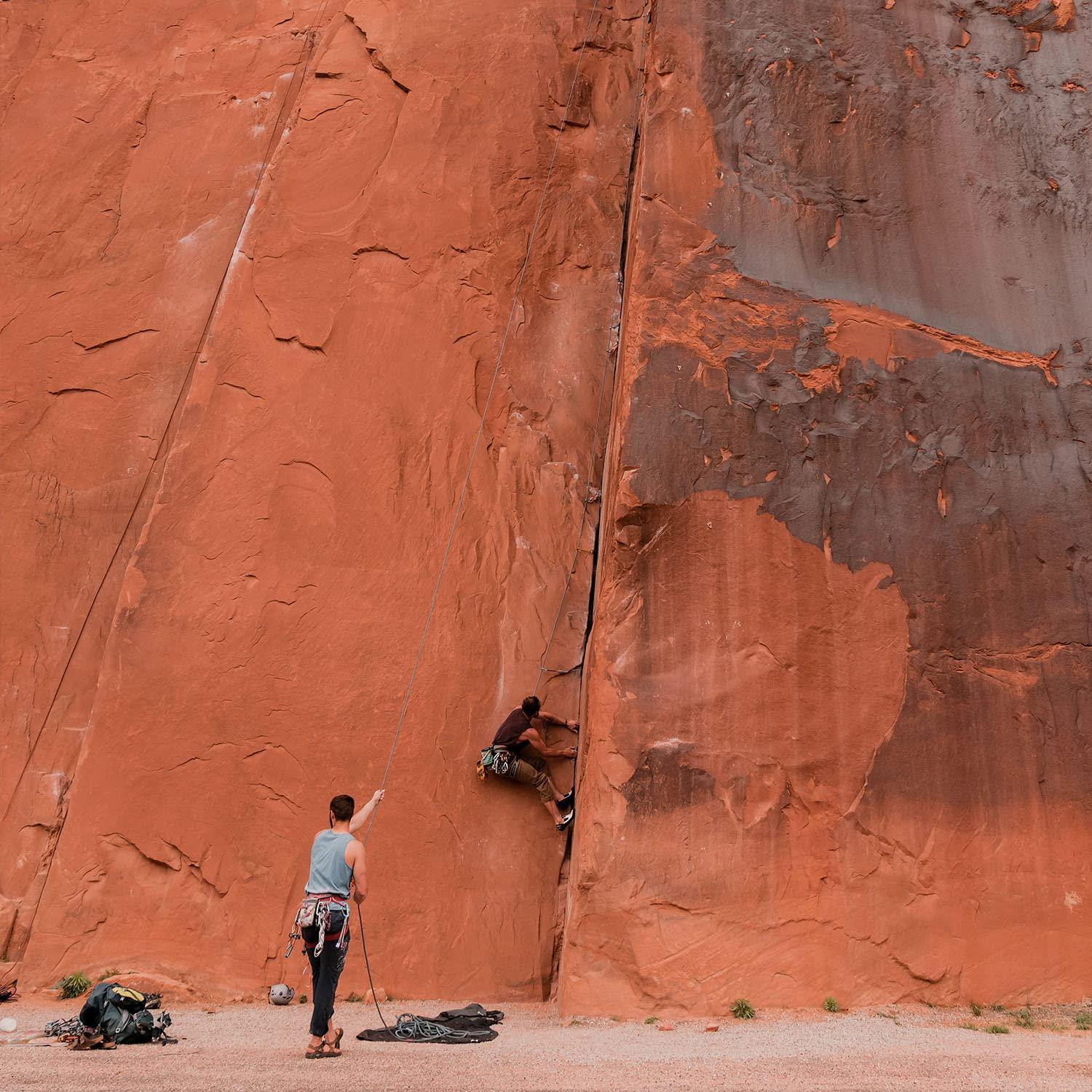 Badger Badger Foot Balm, Organic Tea Tree & Olive Oil Foot Care for Dry Cracked Heels, Cracked Heel Repair for Dry Cracked Feet, Foot Cream Heel Balm, 2 oz