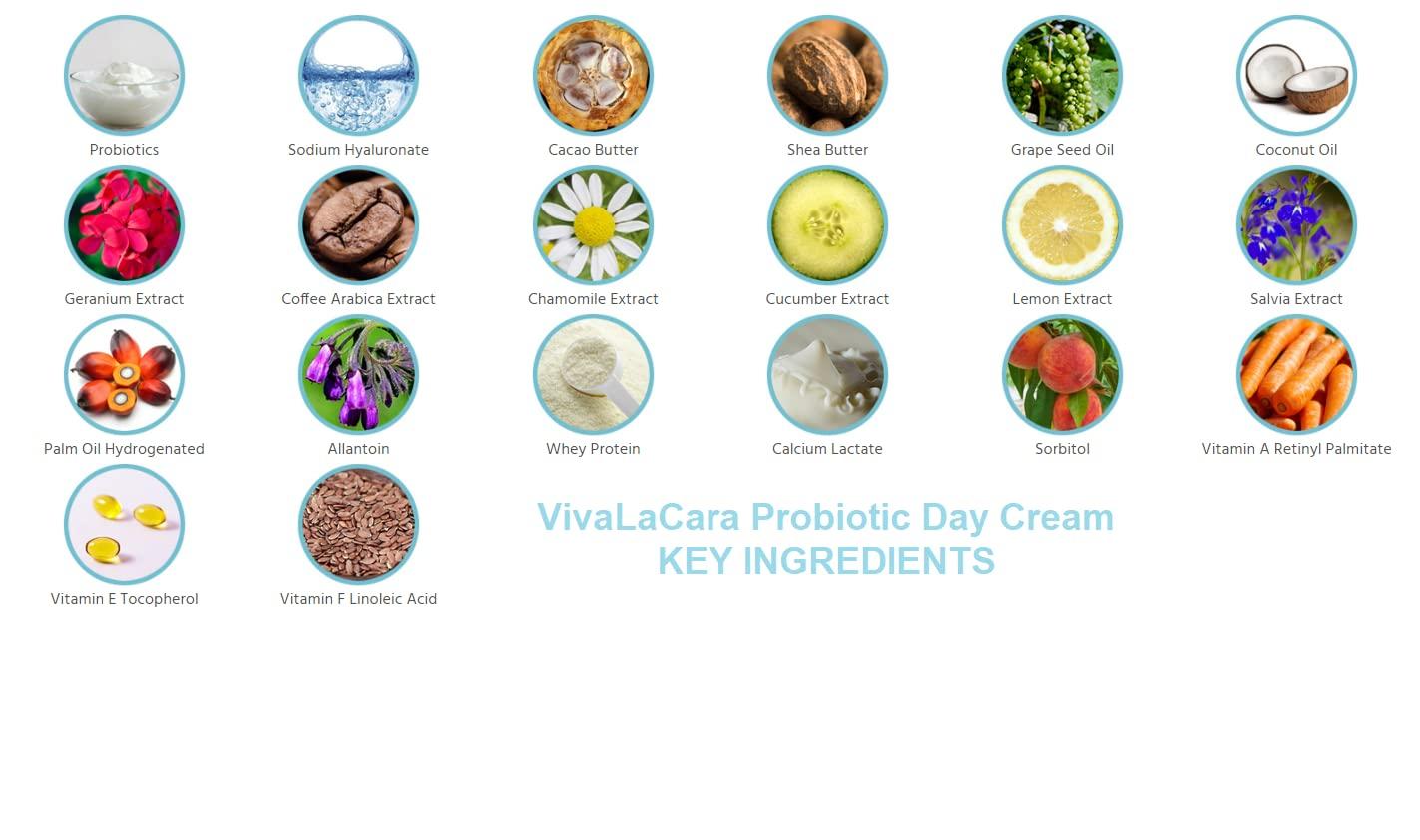 VivaLaCara Logo VivaLaCara Probiotic Day Cream - Anti Aging Face Moisturizer, Wrinkle Smoothing Cream, Dry Sensitive Skin Soothing, Skin Brightening, Skin Perfecting Formula for Mature and Problem Skin, 1.7 oz.