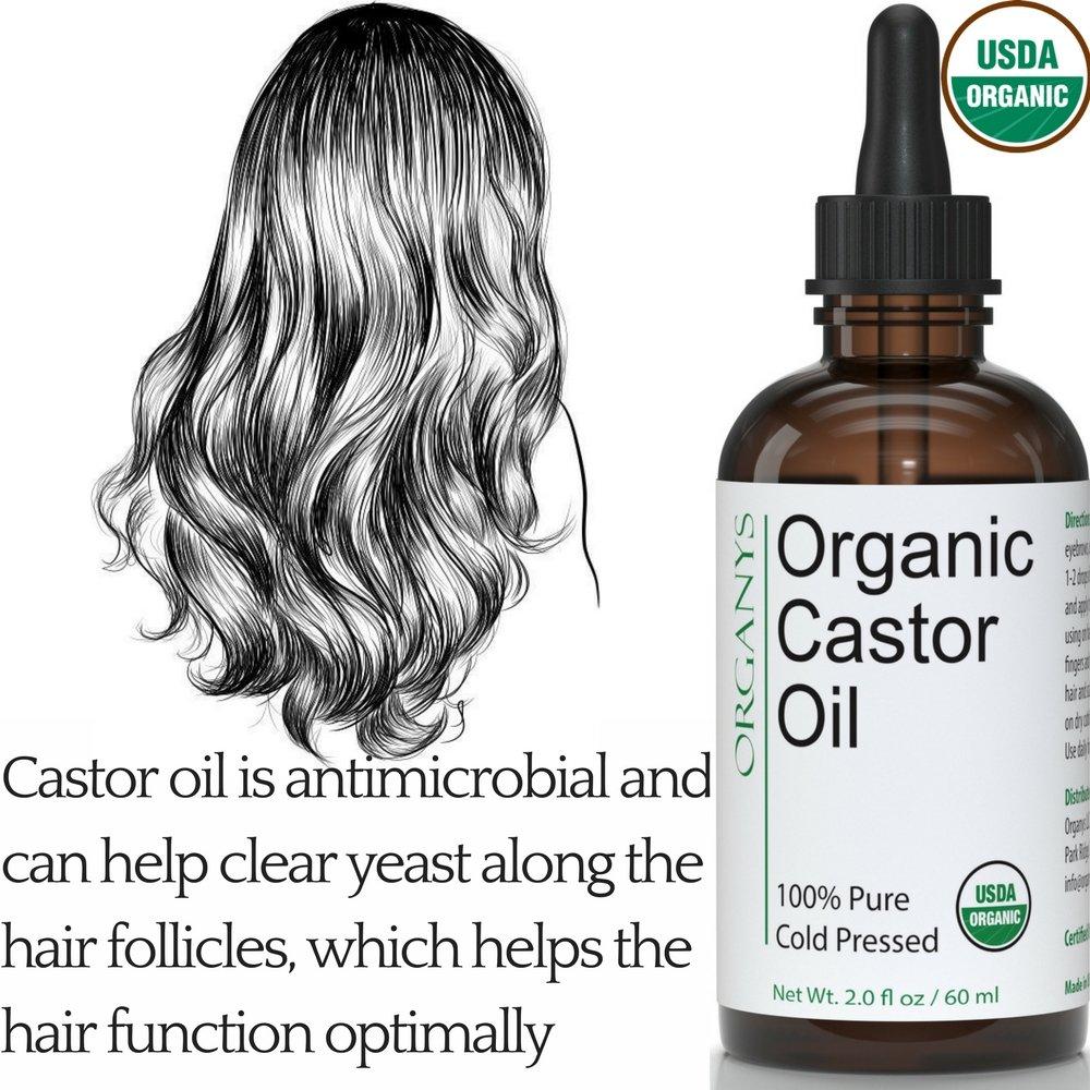 Organys Organys Organic Castor Oil 2oz, For Longer Fuller Thicker Looking Hair Eyelashes & Eyebrows Enhances The Appearance Of Natural Lash & Brow Growth. Serum Comes With Eyeliner & Mascara Brushes