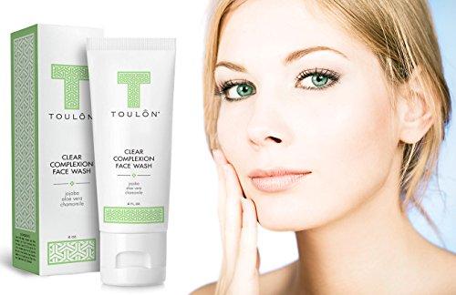 TOULON TOULON Aloe Vera Face Wash - Anti Aging Face Cleanser for Oily Skin & Clear Complexion. Antioxidant Facial Cleanser For Women and Men