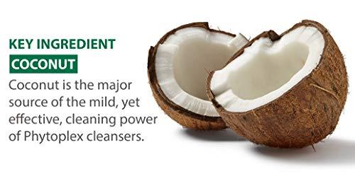 Medline Remedy Medline Remedy Phytoplex Hydrating Cleansing Foam, No-Rinse Body Wash and Shampoo, Paraben and Sulfate-Free, 8 fl oz (Pack of 2)