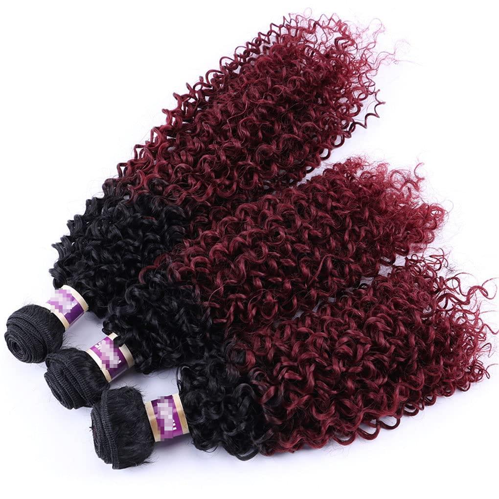 Absolyjuca 1 Bundle Kinky Curly Synthetic Hair Weave Bundles 16 18 20 Inches 70Gram Ombre Color Two Tone Curly Hair Bundles #27 1 bundle 18 inches