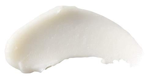 Burt\'s Bees Burts Bees Rosemary and Lemon Lip Butter Unisex Lip Balm 0.4 oz