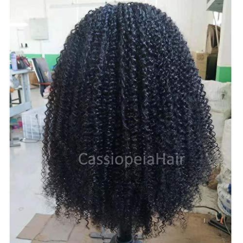 RJ HAIR Full 250% Density Kinky Curly U Part Wigs For Women Brazilian Glueless Human Hair U Part Wigs Middle Part Curly Wig (20inch, 180% Density)