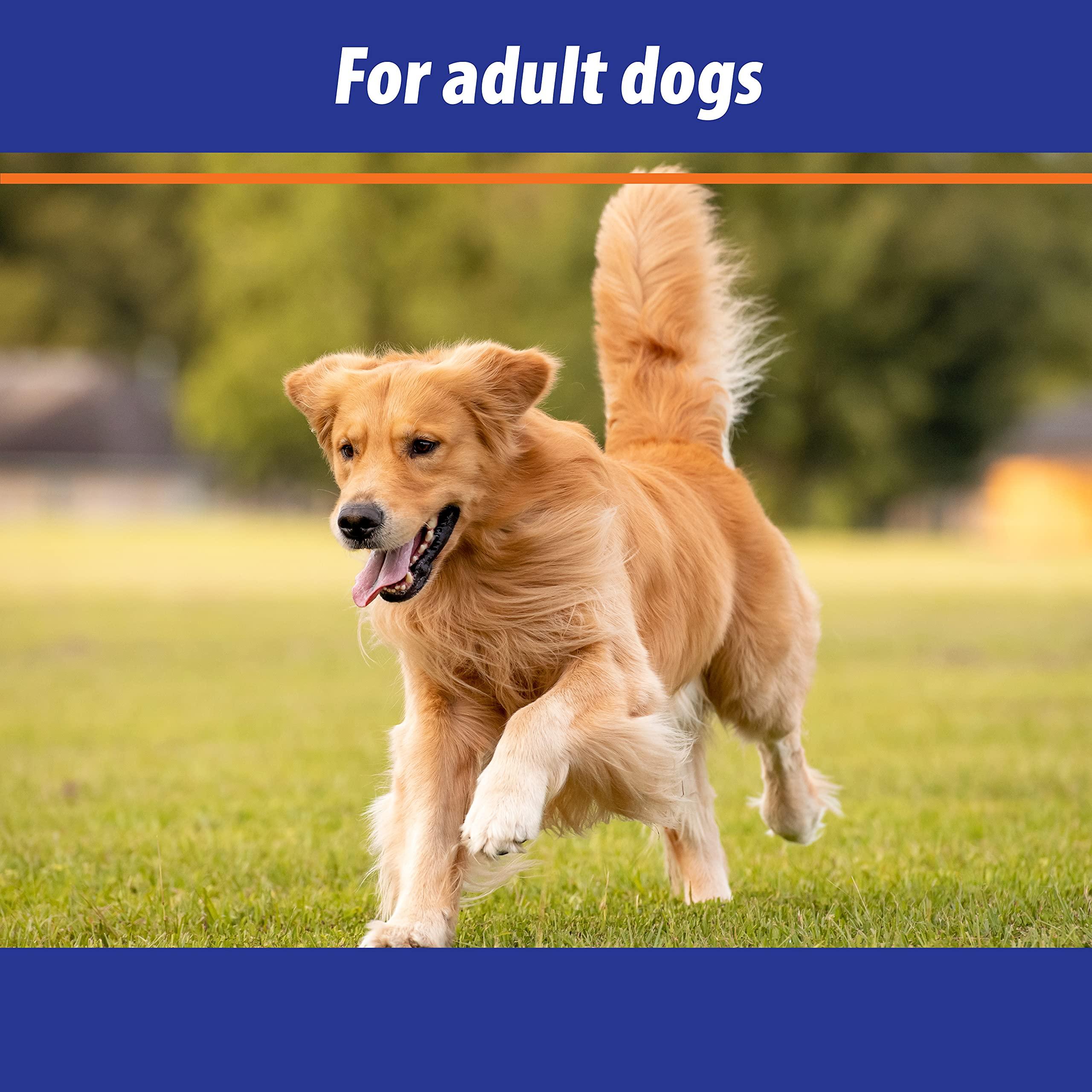 Exmarid Monster Pet Supplies Bob Martin Exmarid Dry Skin Formula With Starflower Oil