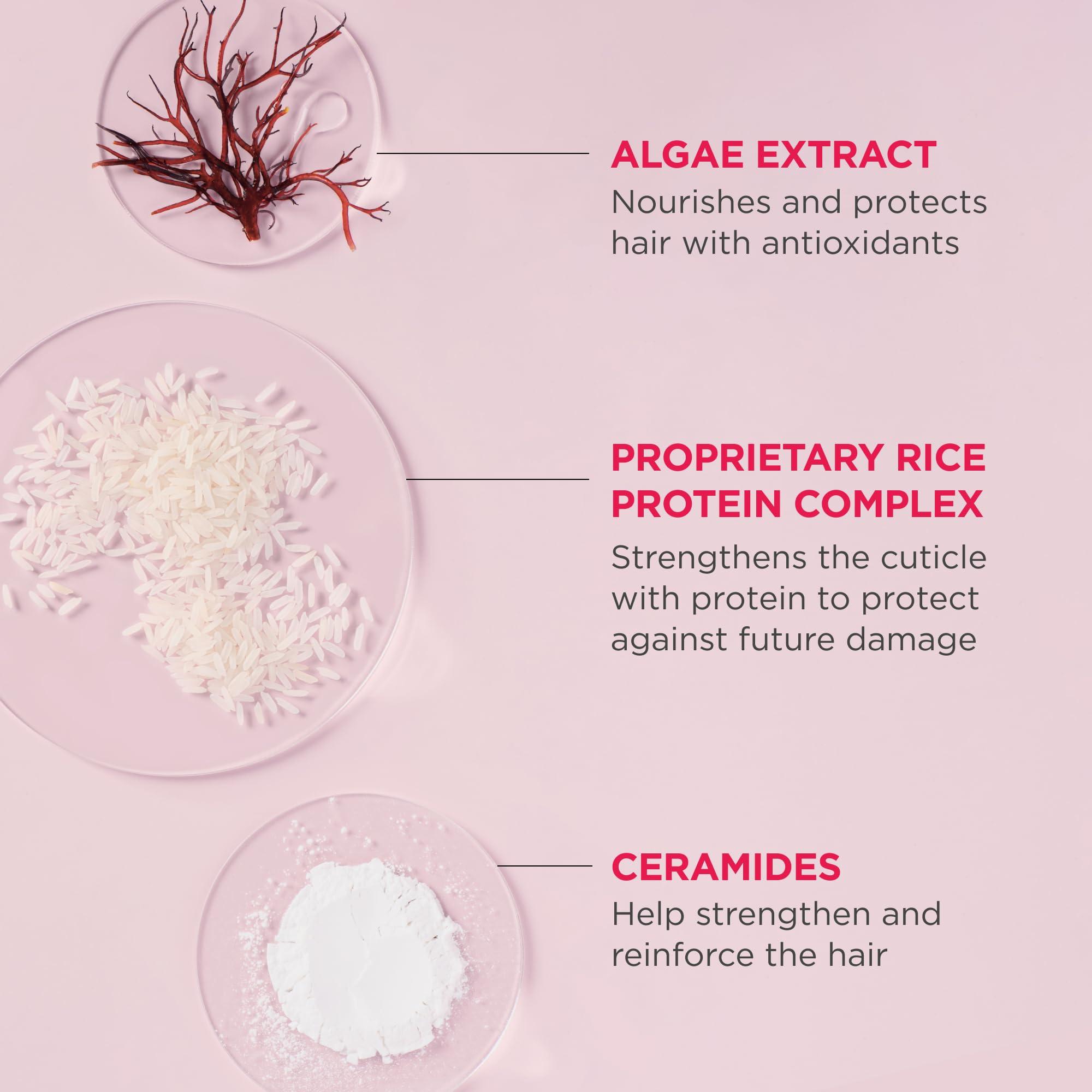 Briogeo Briogeo Don't Despair, Repair! Rich Rice Shampoo Concentrate, Protein Shampoo for Severely Damaged Hair, Water-Activated Concentrate Shampoo, Vegan, Cruelty-Free, 3 fl oz