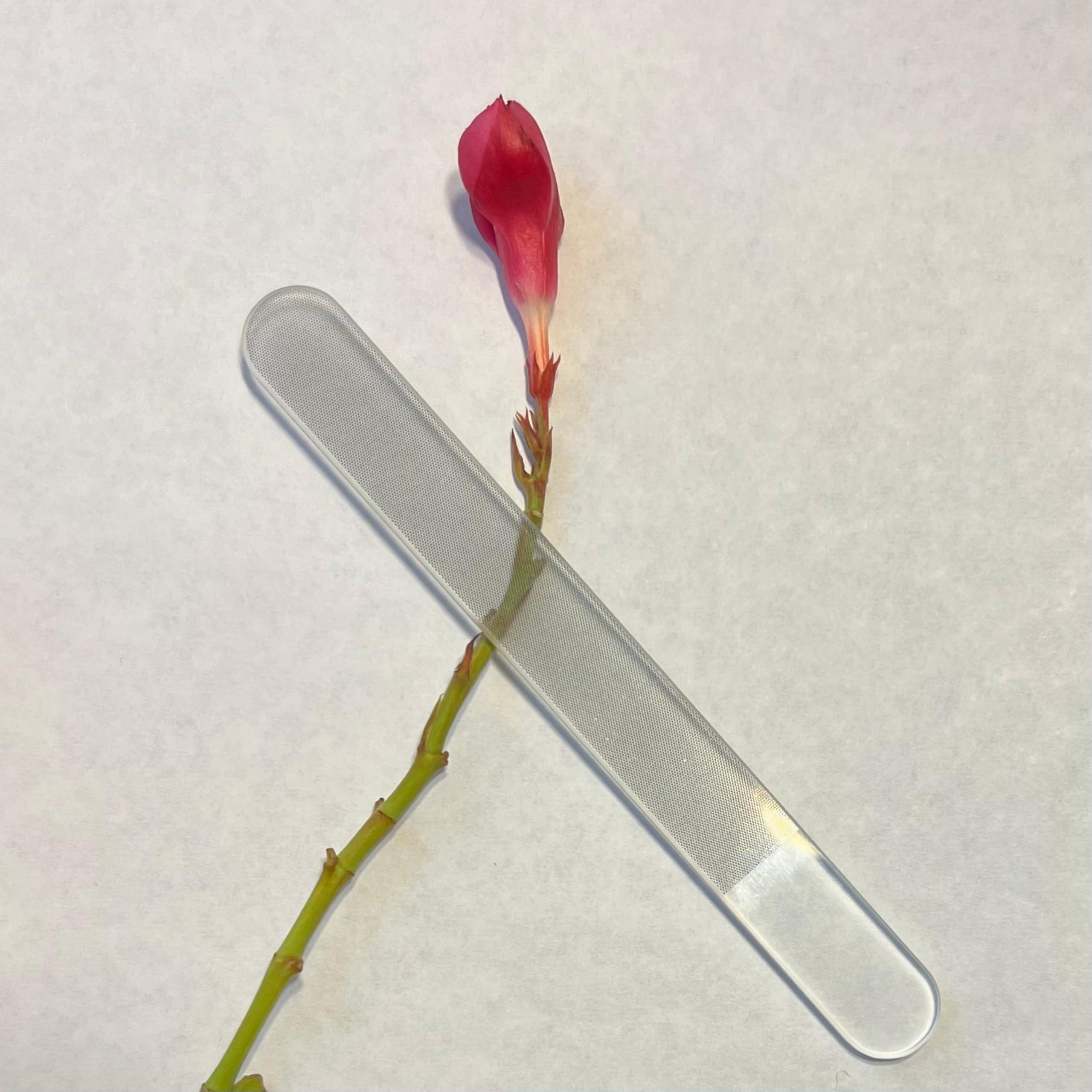 YESTAND Glass Nail File with Case - Glass Nail Buffer for Shining Natural Nails and Smooth Natural Nail Edges, Nano Glass Nail File (1 Count)