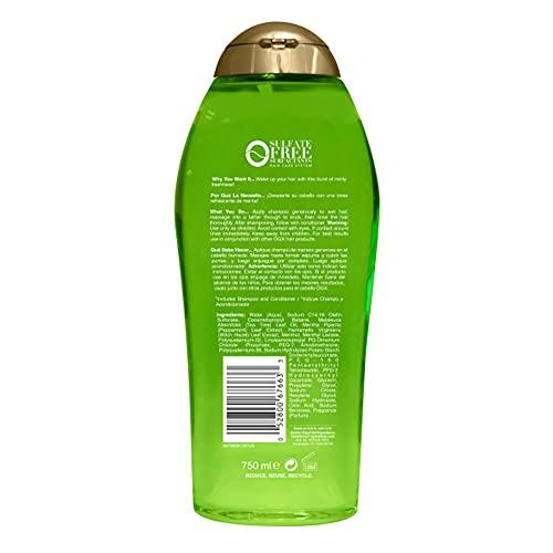 OGX OGX Extra Strength Refreshing Scalp + Teatree Mint Shampoo, Invigorating Scalp Shampoo &Conditioner with Tea Tree & Peppermint Oil & Witch Hazel, Paraben-Free, Sulfate-Free Surfactants, 25.4 Fl Oz