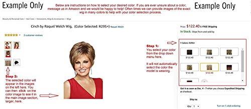 Amore & Maxwigs Luxe Top Piece Topper Color Cappucino - Amore Wigs 10" Long Volume Hairpiece Lace Front Monfilament Base Fringe Crowne Pressure Sensitive Head Peluca Bundle MaxWigs Hairloss Booklet