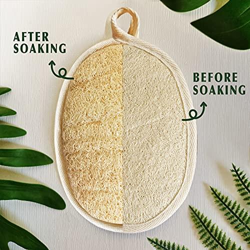 YIQINGJIE Natural Loofah Sponge Exfoliating(4 Packs),Made with Eco-Friendly and Biodegradable Shower Luffa Sponge, Loofah for Women and Men, Brown
