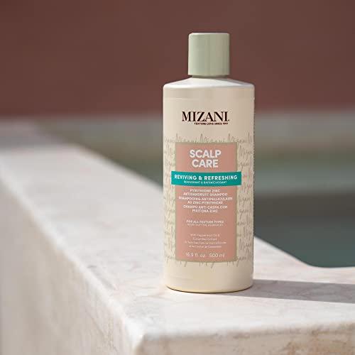 MIZANI MIZANI Scalp Care Dandruff Shampoo | Pyrithione Zinc | Cleanses Hair & Scalp | For Curly Hair | 16.9 Fl Oz