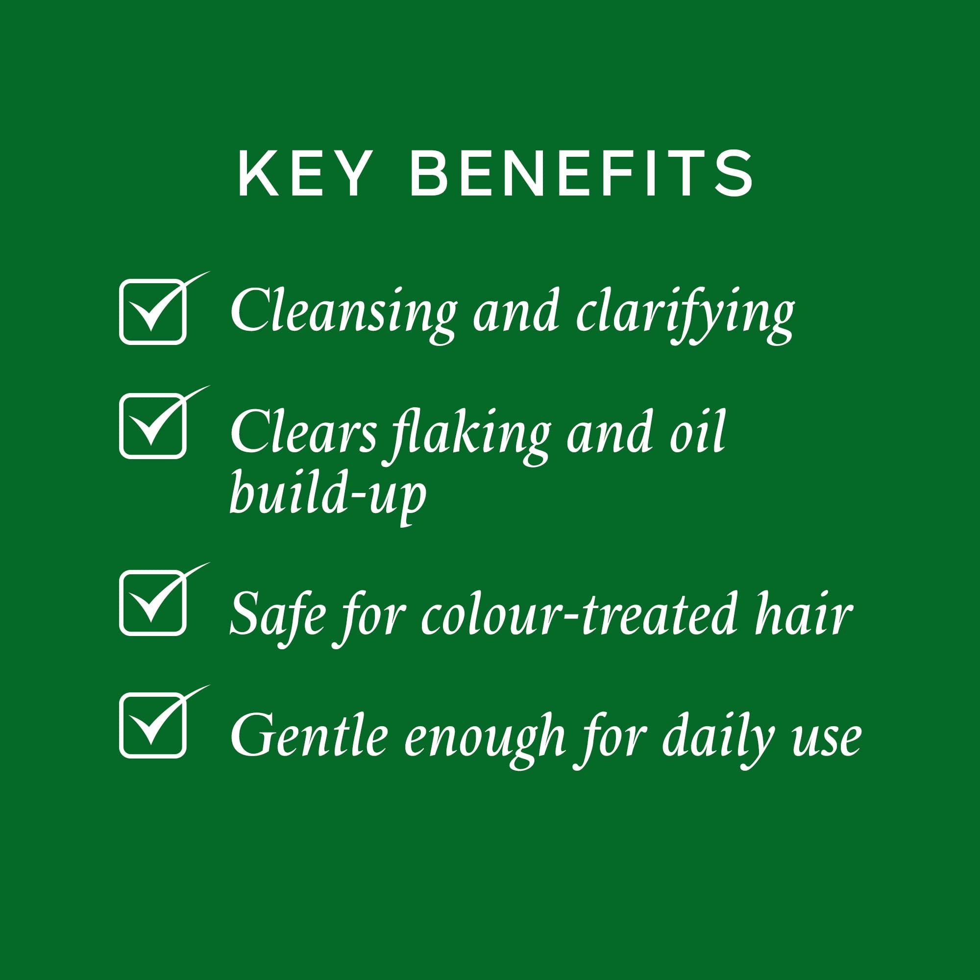 PHILIP KINGSLEY Philip Kingsley Flaky Scalp Shampoo, 8.45 Ounce