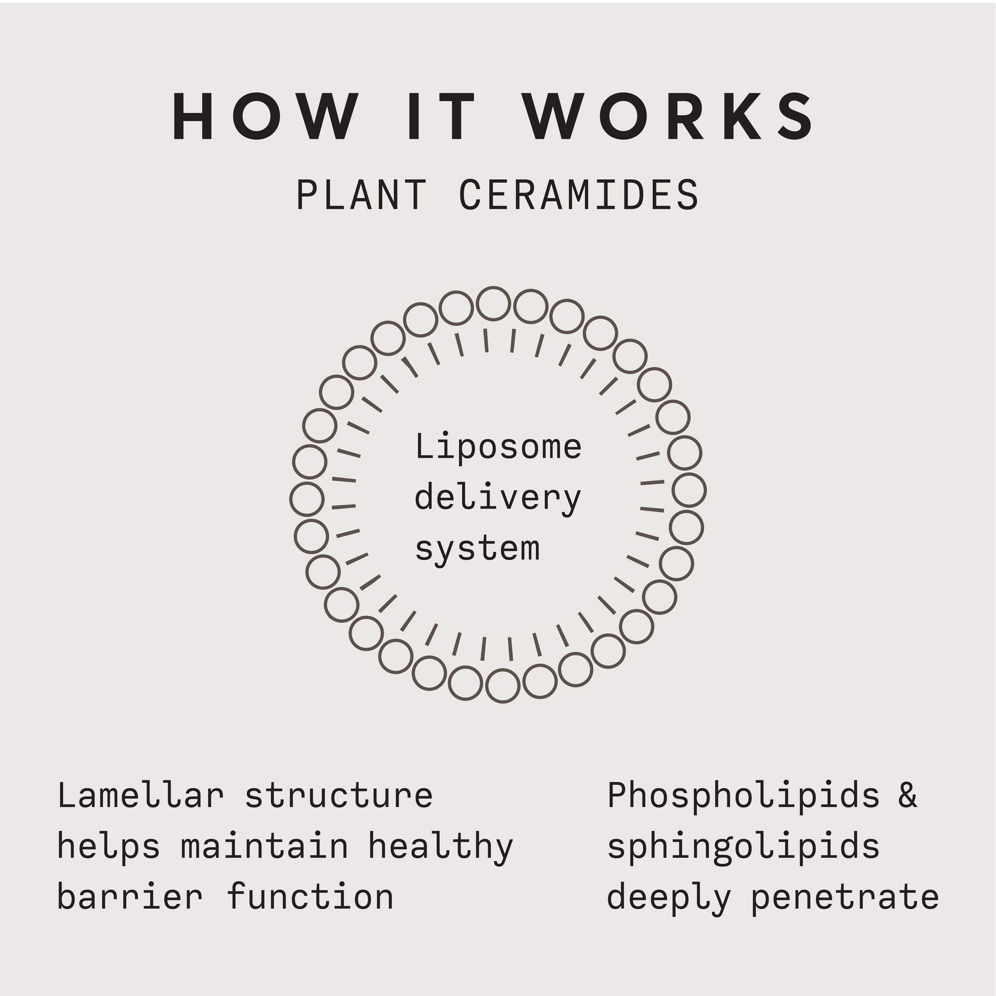 Naturium Naturium Skin Soothing Duo, Azelaic Acid Emulsion & Plant Ceramide Rich Moisture Cream, Anti-Aging Skincare