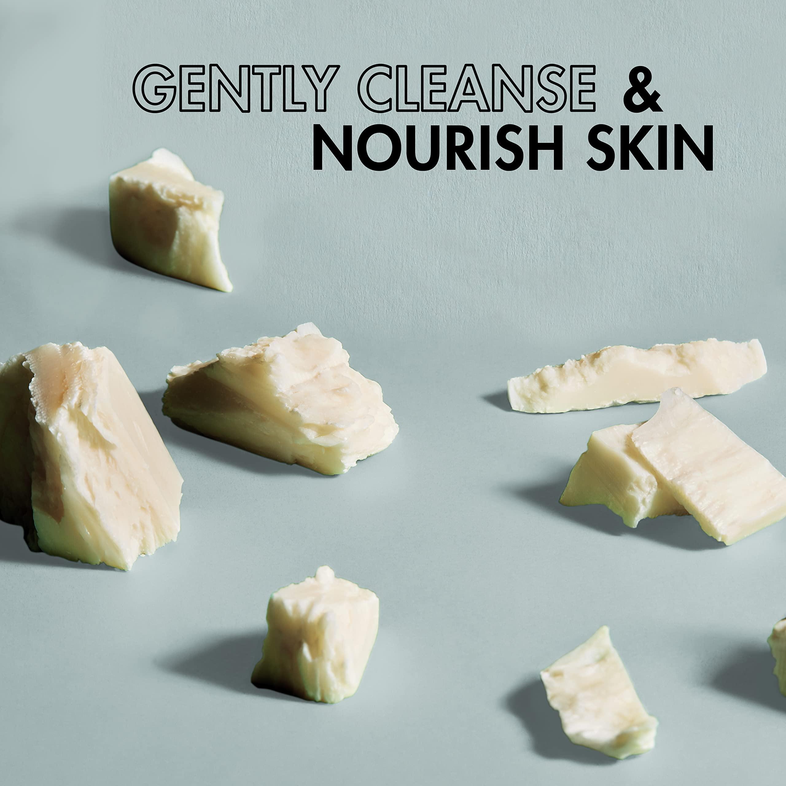 SheaMoisture SheaMoisture African Black Soap Body Wash 13 fl. oz