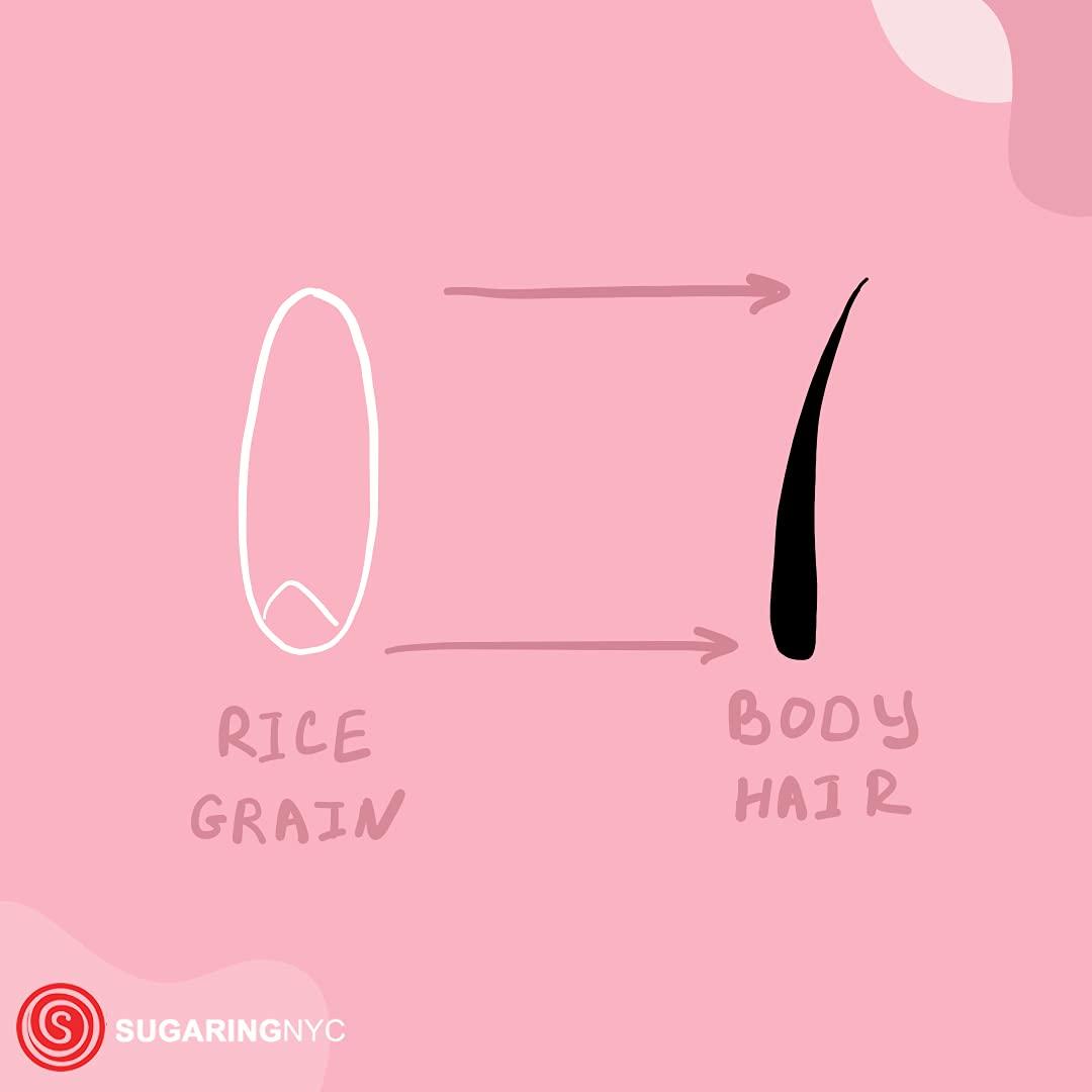 Sugaring NYC Sugaring Paste Standard For All Body Parts - Bikini, Brazilian, Legs , Arms 350mg. 8.8oz