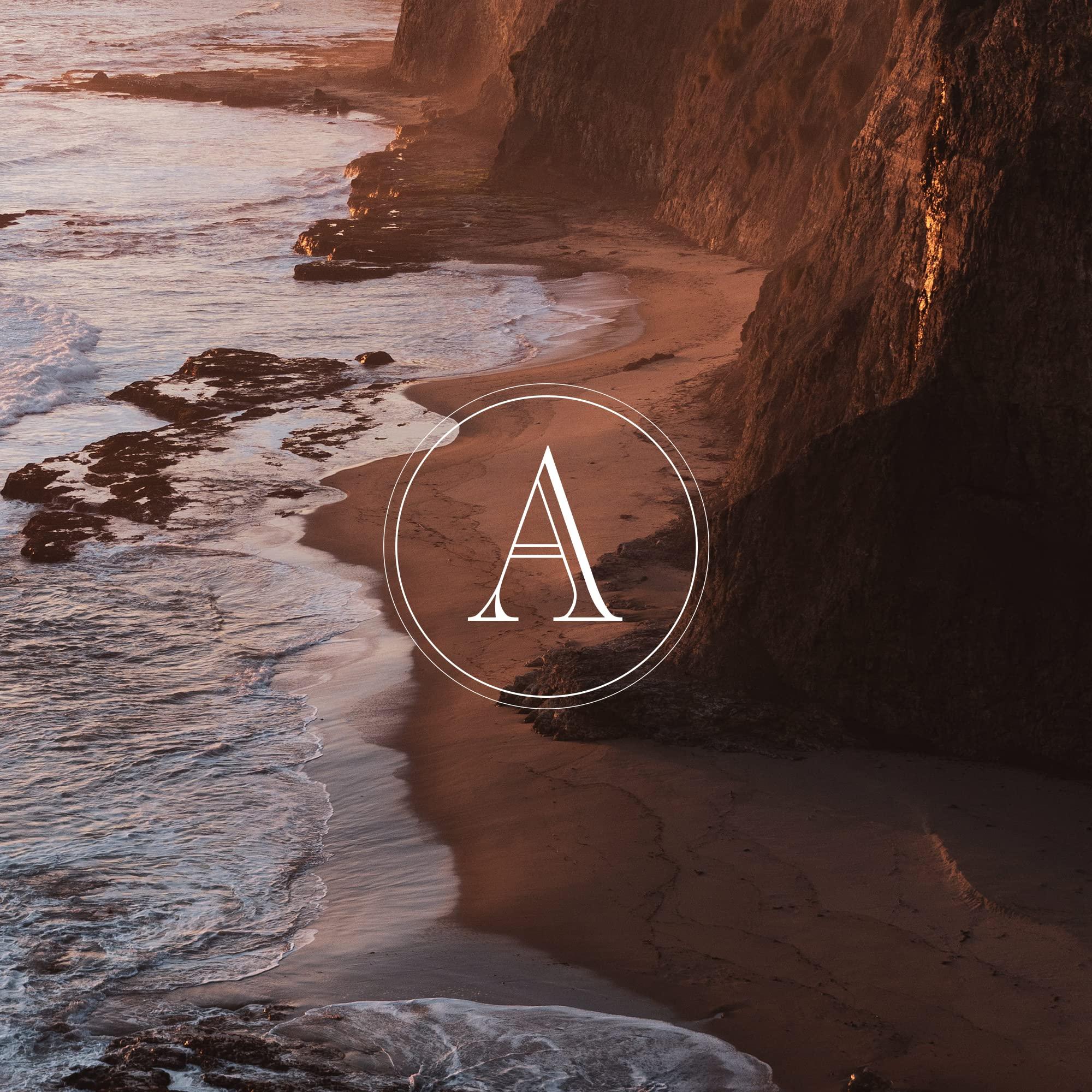 Archipelago Botanicals Archipelago Botanicals Milk Body Wash, Cleansing and Moisturizing Body Wash for Dry Skin, Soft and Smooth Skin, Free from Parabens, Phthalates and GMOs (33 oz)