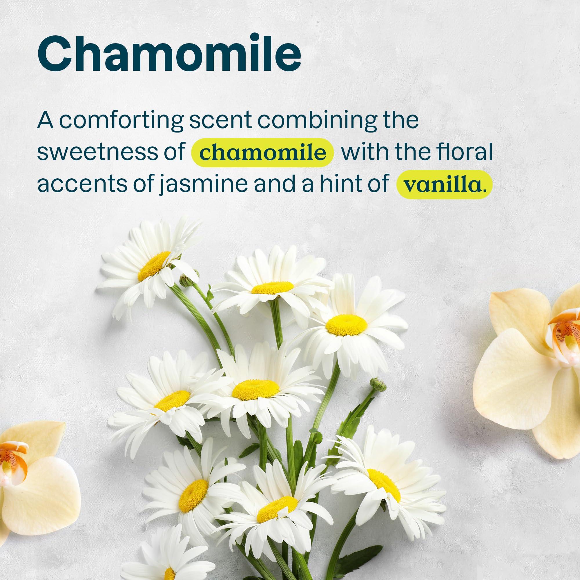 uhsupply.com Crown Prince Brisling Sardines In Olive Oil (12x3.75 Oz)