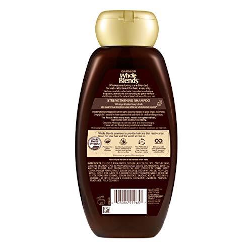 Garnier Garnier Hair Care Whole Blends Strengthening Ginger Recovery Shampoo, 12.5 Fluid Ounce