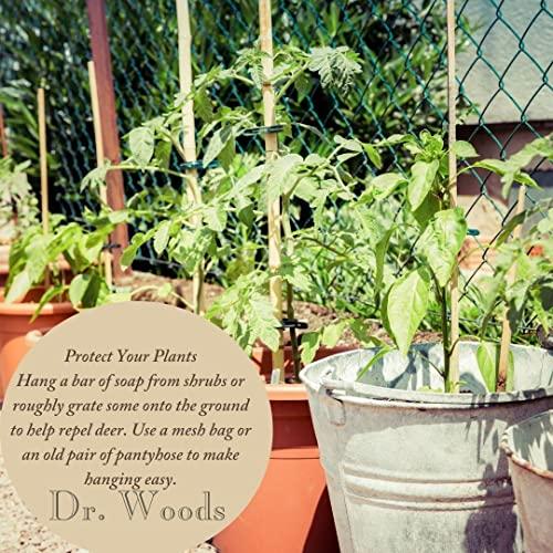 Dr. Woods Dr. Woods Moisturizing Ginger Citrus Bar Soap with Jojoba Oil and Organic Shea Butter, 5.25 Ounce (Pack of 1)