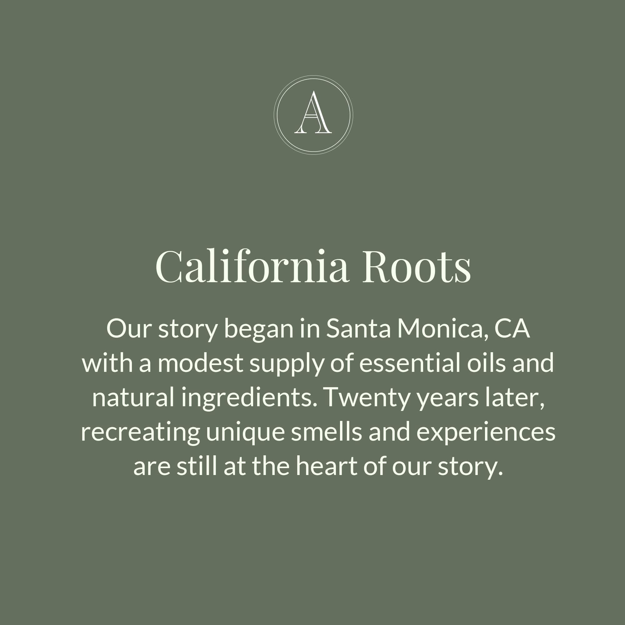 Archipelago Botanicals Archipelago Botanicals Hand Wash Milk Liquid Hand Soap, Moisturizing Daily Hand Wash with Soap Pump, Kitchen or Bathroom Hand Soap, 17.0 Fl. Oz.