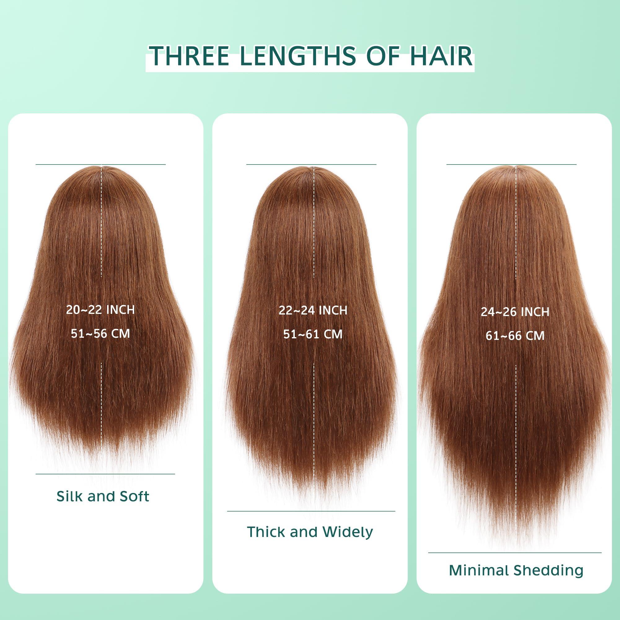 Demides Demides 22-24 Mannequin Head with Human Hair, Cosmetology Mannequin Head 100% Real Human Hair, Manikin Head with Stand for Hairdressers Practice Braiding Styling Cutting Dying Styles