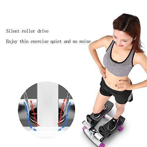 RsFiL Fitness Stair Stepper Health Fitness Twist Stepper with Resistance Bands with Powerful Hydraulic Mute Stepper for Home Workout and Exercise