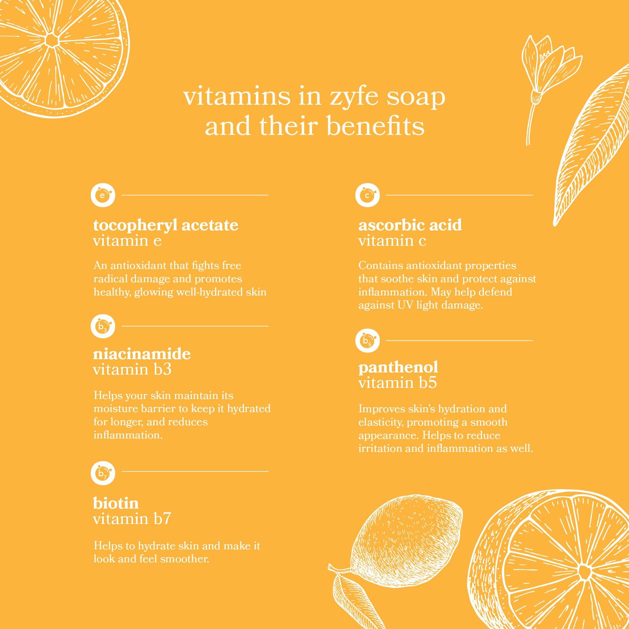 ZYFE Vitamin Hand Soap Refill & Rechargeable Automatic Soap Dispenser | Liquid Hand Soap | Natural Plant Derived Moisturizing Handsoap