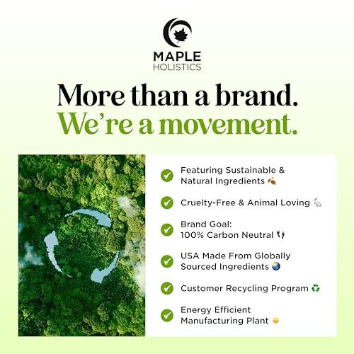 Maple Holistics Tea Tree Shampoo and Conditioner Set - Sulfate Free Clarifying Shampoo and Conditioner for Oily Hair & Scalp Care with Australian Tea Tree Oil - Complete Dry Scalp Treatment for Build Up (16 Fl Oz)