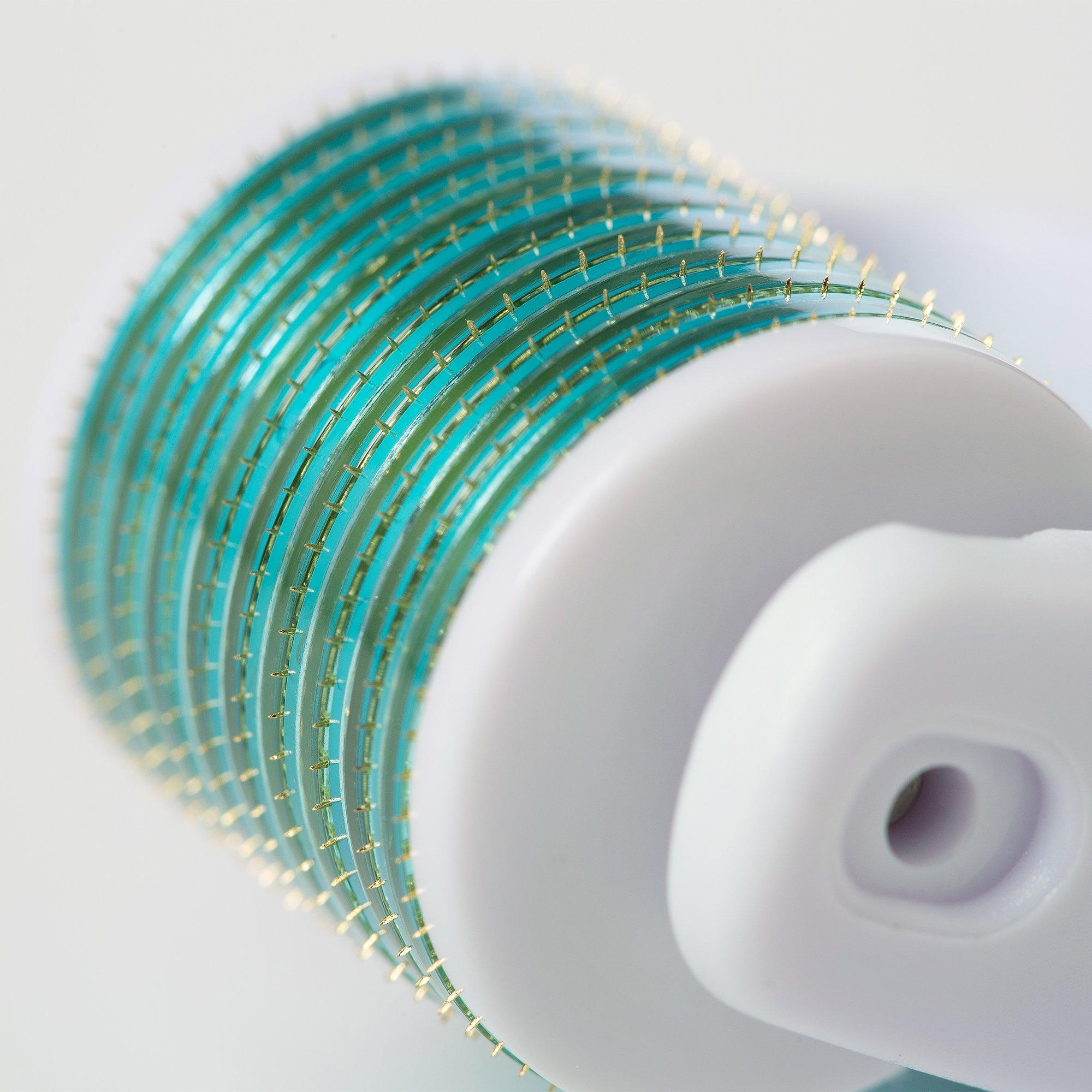 Prosper Beauty Derma Roller Microneedle 6 Piece Kit [DERMAROLL by Prosper Beauty] Face Roller with 4 Replaceable Heads Exfoliation Microdermabrasion Micro Derma Skin Care Tool Dermaplaning Microneedling