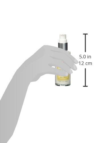 Burt's Bees Burt's Bees Skin Nourishment Day Lotion with SPF 15 for Normal to Combination Skin, 2 Oz (Package May Vary)