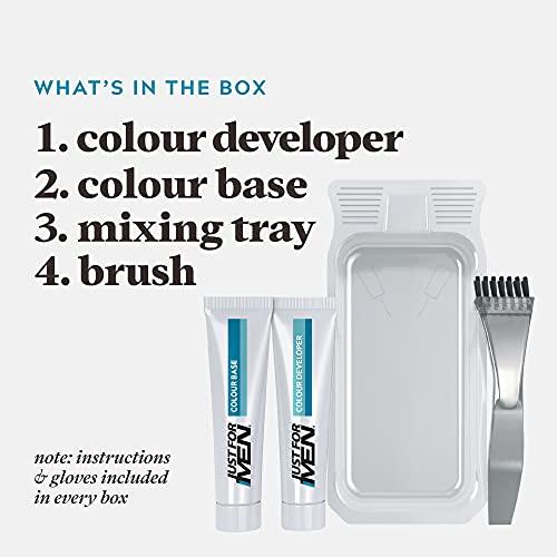 Just for Men Just For Men M10 Sandy Blond mustache and beard brush in hair gel